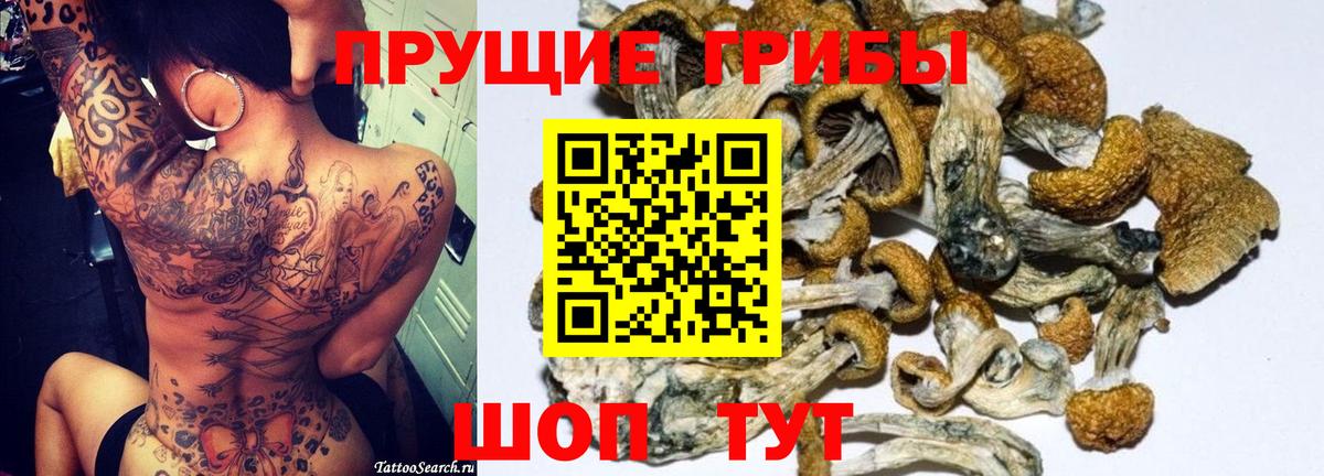 Галлюциногенные грибы ЛСД  Вход с VPN  Тельмана 