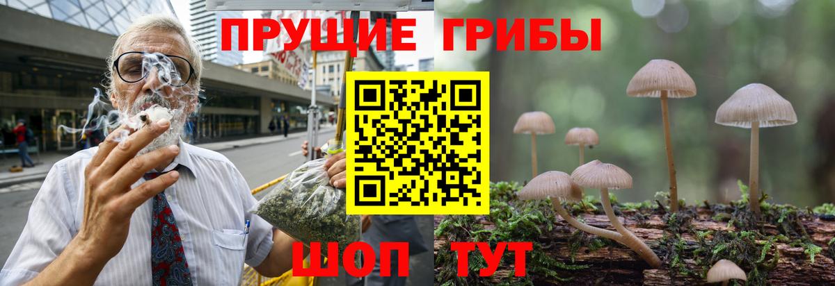 Галлюциногенные грибы Psilocybe Тельмана